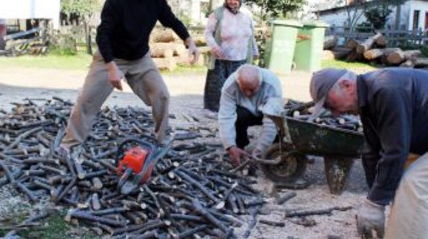 Karadeniz'in Fındık Odunu Evleri Isıtıyor