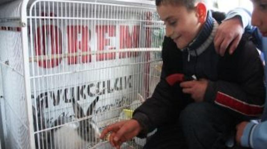 Ahlat'ta Kuş Ve Balık &Ccedil;eşitleri İlgi G&ouml;r&uuml;yor