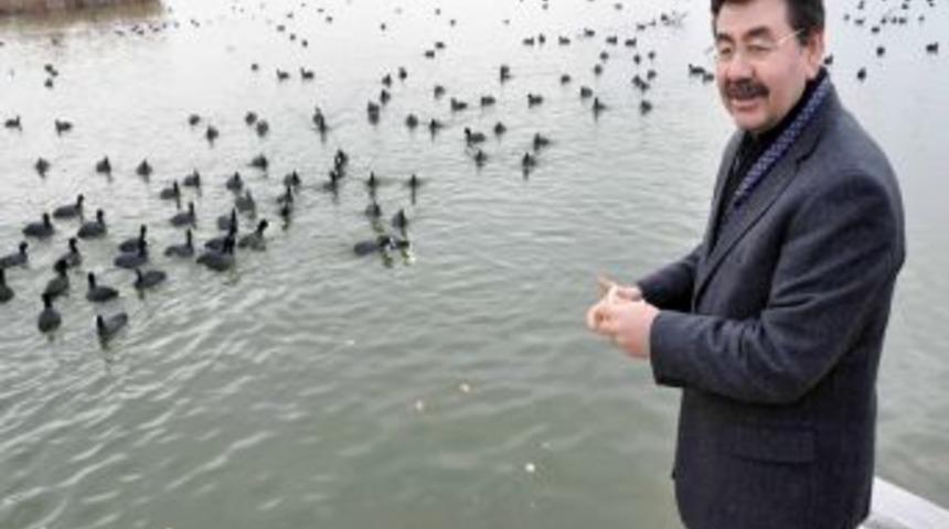 Belediye Başkanı Odabaşı, Karabatakları Besledi