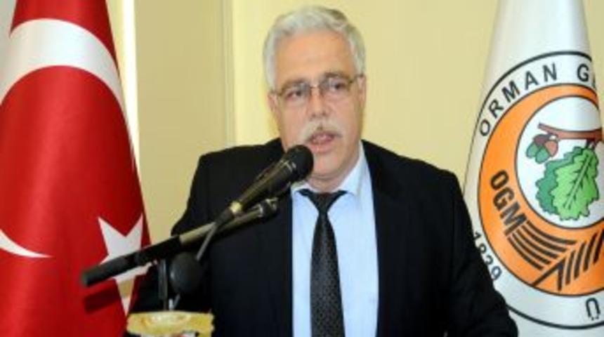 Ormancılara &lsquo;Osmanlı &Ccedil;ınarı&rsquo;nı Anlatıldı