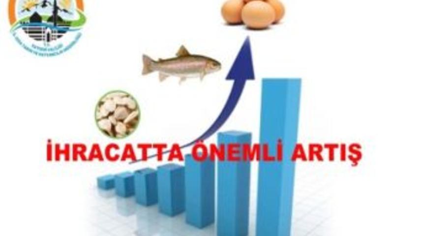 Kayseri 301 Milyon Yumurta İhra&ccedil; Etti