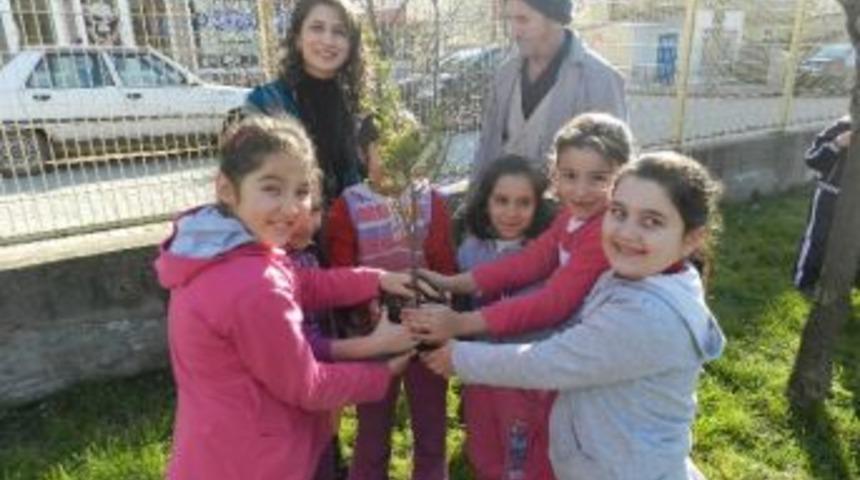 Minik Eller 48 Ağacı Toprakla Buluşturdu