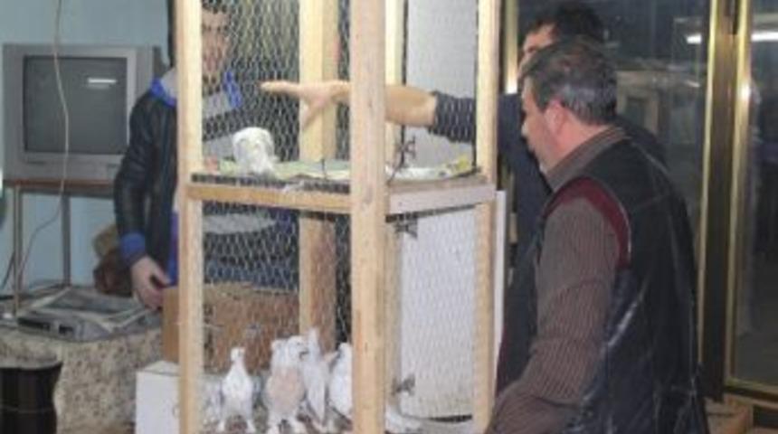 G&uuml;vercin Mezatı İlgi &Ccedil;ekiyor