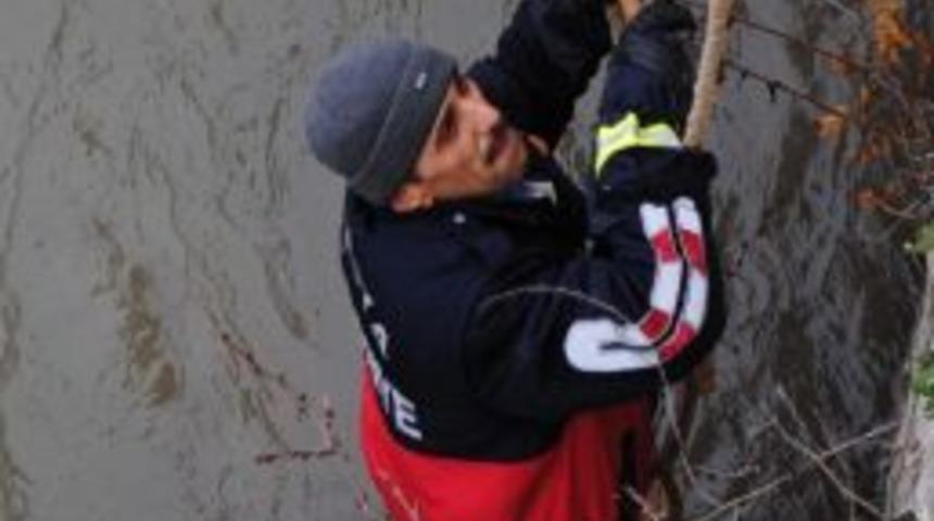 Yeşiırmak&rsquo;a D&uuml;şen Kediyi İtfaiyeciler Kurtardı