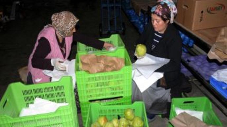 Zirai Ila&ccedil; Kalıntısı Analizi Yapan Cihaz Samsun'da Hizmete Girdi