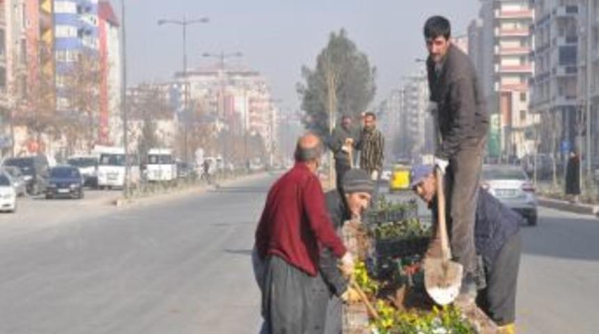 Batman'da Alt Yapı &Ccedil;alışmaları