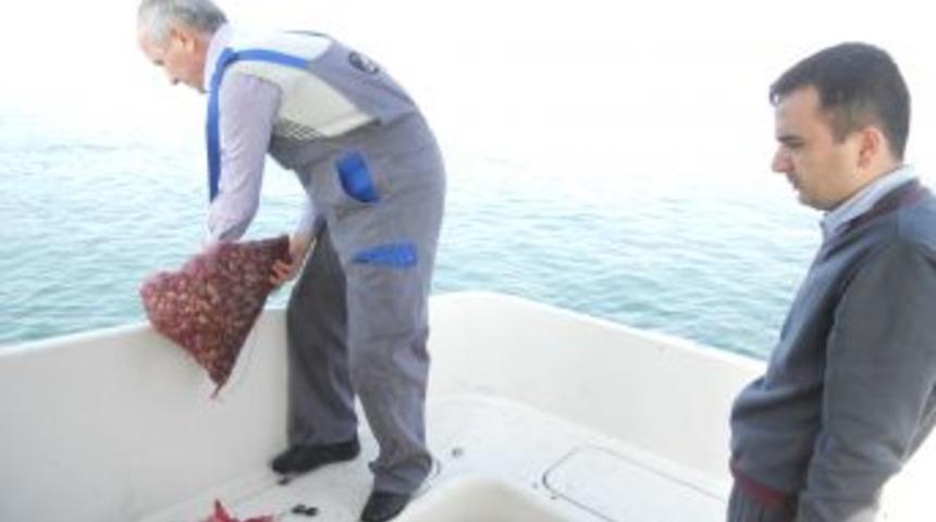 İzinsiz Sevkiyatı Yapılan 2 Ton Akivadese El Koyuldu