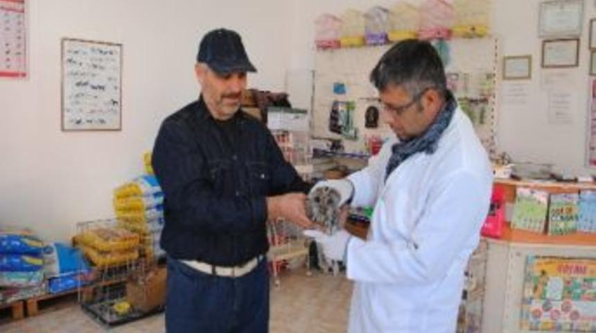 Yaralı Baykuş Tedavi Edildi