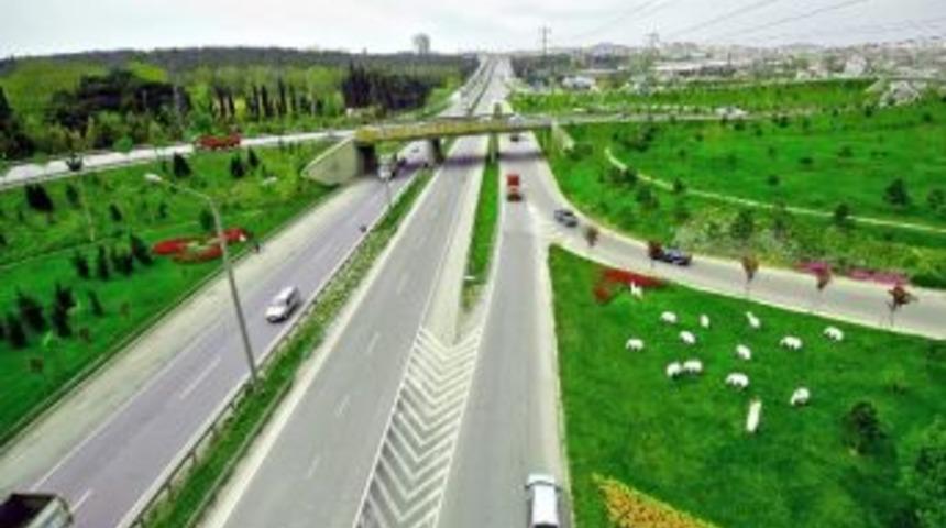 Tem'in Etrafı Ağa&ccedil;landırılıyor