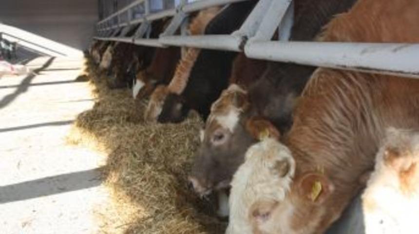 TKDK Hibe &Ouml;demelerine Başlıyor