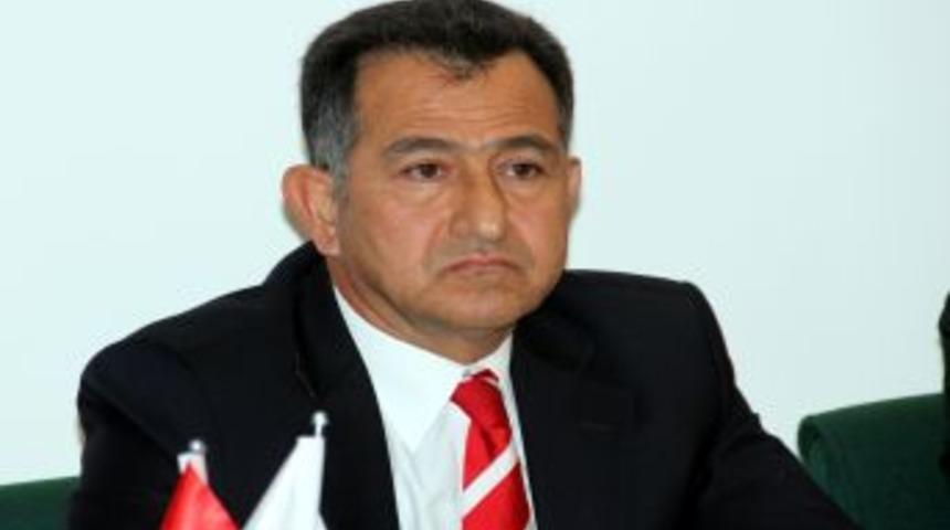 &Ccedil;alı: 2013 Yılı Zeytin I&ccedil;in Patlama Yılı Olacak