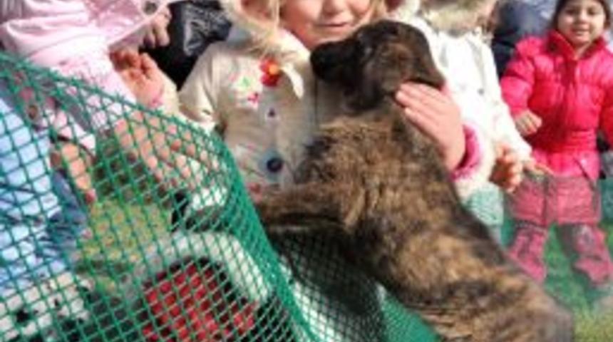 Doğal Yaşam Merkezi Internet Ortamına Taşındı