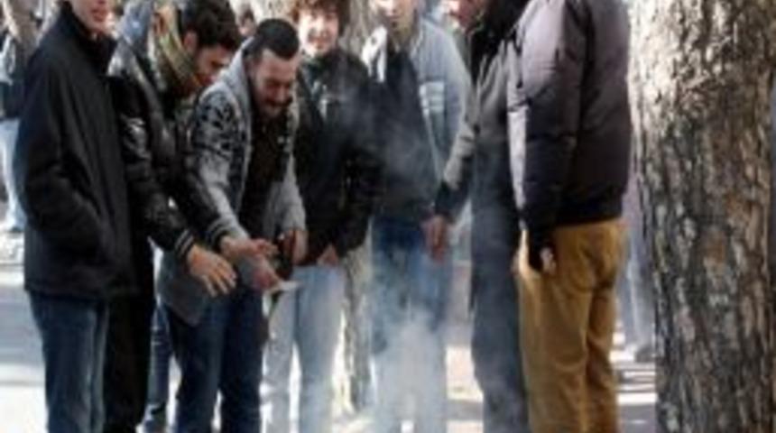 Soğukta Burs Kuyruğu