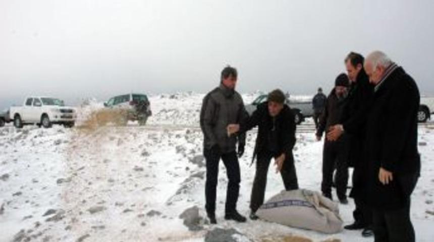 Spil Dağı'na Yabani Hayvanlar I&ccedil;in Yem Atıldı