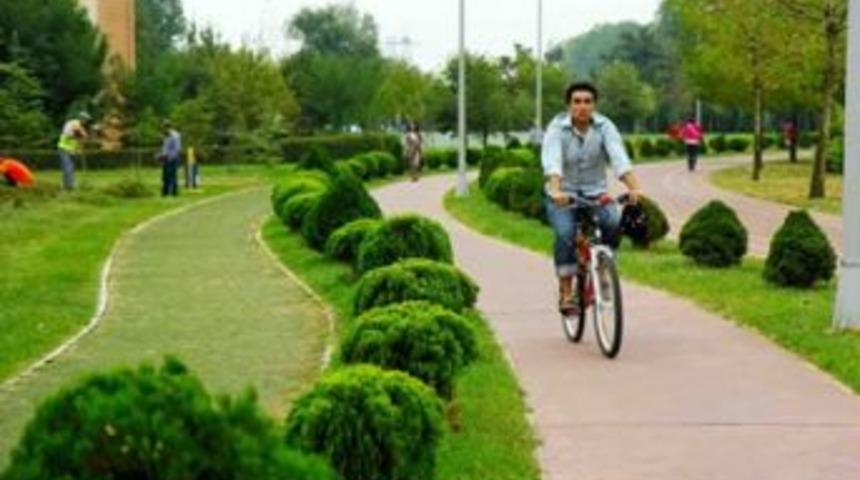 Otoyol kenarlarına on binlerce ağa&ccedil;