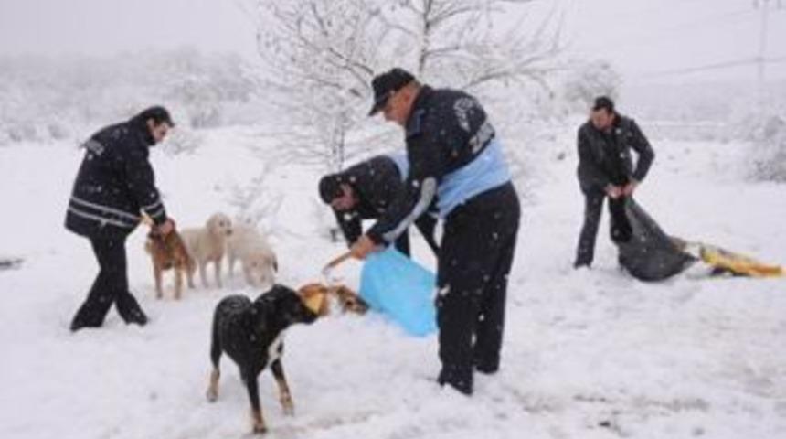 Kartepe&rsquo;de sokak hayvanları unutulmadı