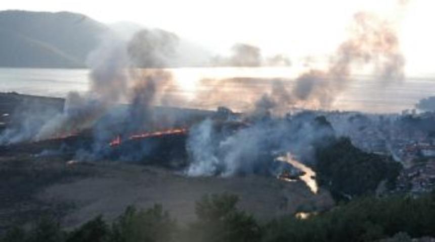 Deli Mehmet Kuş Cennetini Yaktı Ge&ccedil;ti