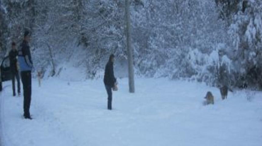 A&ccedil; Kalan K&ouml;pekleri Zabıta Doyurdu