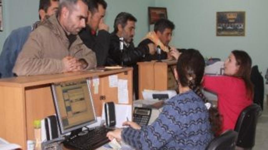 Saruhanlı'da 2 Bin &Ccedil;ift&ccedil;i T&uuml;t&uuml;n Ekecek