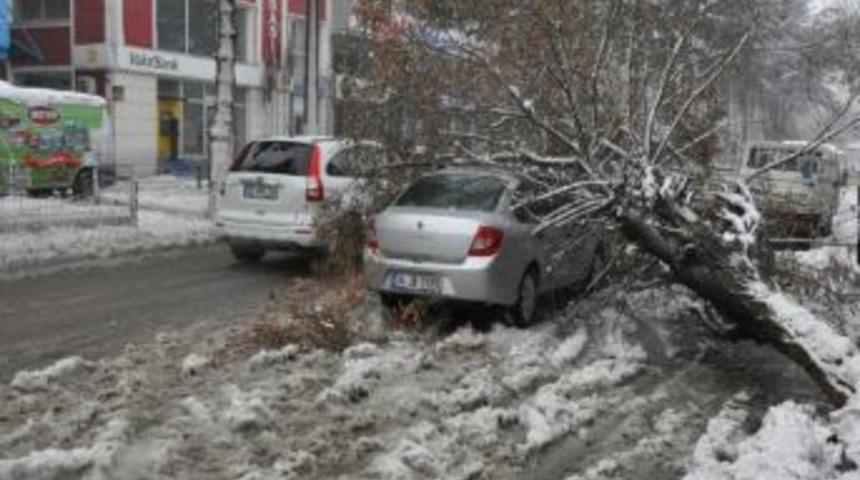 Fırtına, Tatvan&rsquo;da Ağa&ccedil;ları K&ouml;k&uuml;nden S&ouml;kt&uuml;, &Ccedil;atıları U&ccedil;urdu