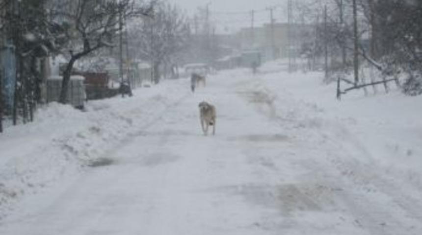 (&ouml;zel Haber) Ulaşım G&uuml;&ccedil;leşince Ekmek Bulmakta Zorlanan K&ouml;yl&uuml;ler Stok Yaptı
