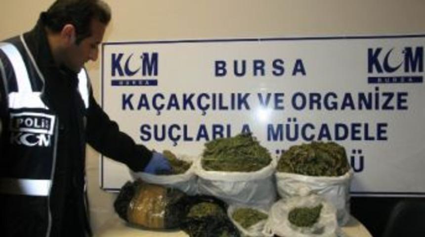 K&ouml;pek Kul&uuml;besindeki Esrarı "chocolate" Buldu