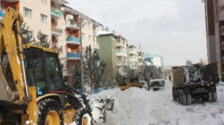 Paland&ouml;ken Belediyesi Karla M&uuml;cadele İ&ccedil;in Filosunu Genişletti