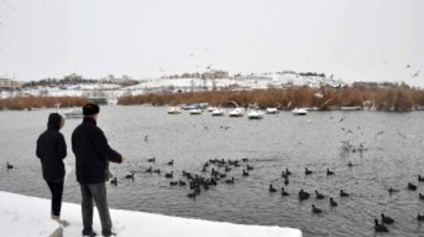 Mogan&rsquo;da Kuşların Ekmek Kapma Yarışı