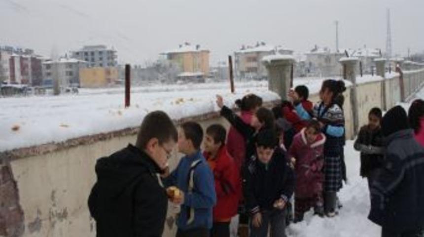 A&ccedil; Kalan Kuşlar I&ccedil;in Yem Bıraktılar