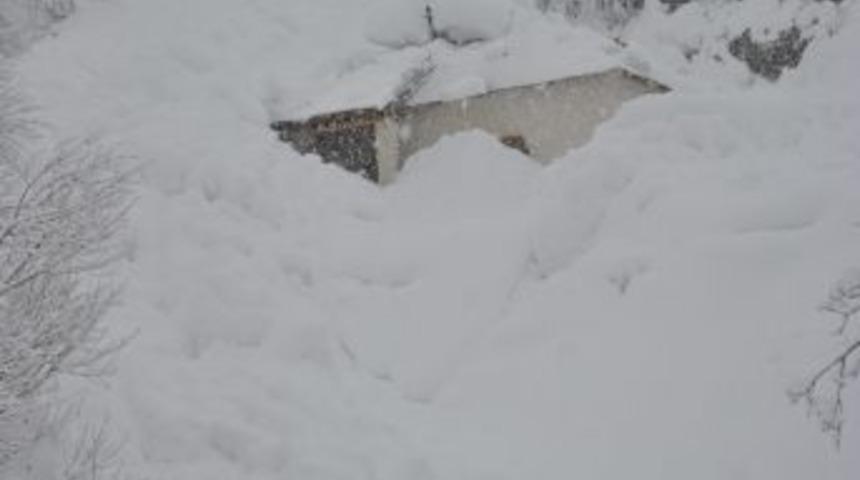 Şemdinli&rsquo;de &Ccedil;ığ