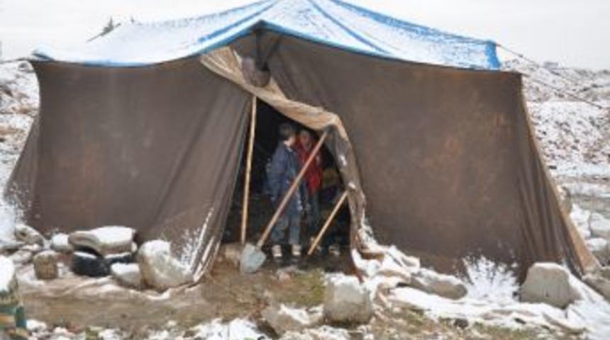 Suriyeli M&uuml;ltecilerin Yaşam M&uuml;cadelesi