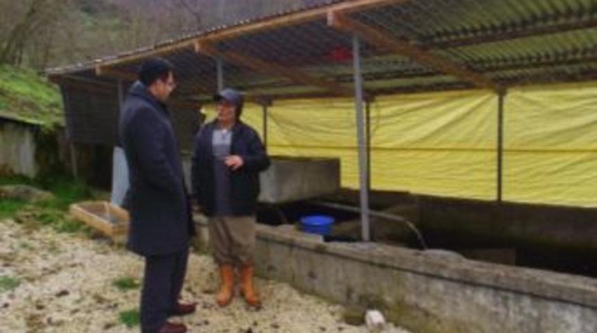 Kaymakam &Ouml;zcan Alabalık Tesislerini Gezdi