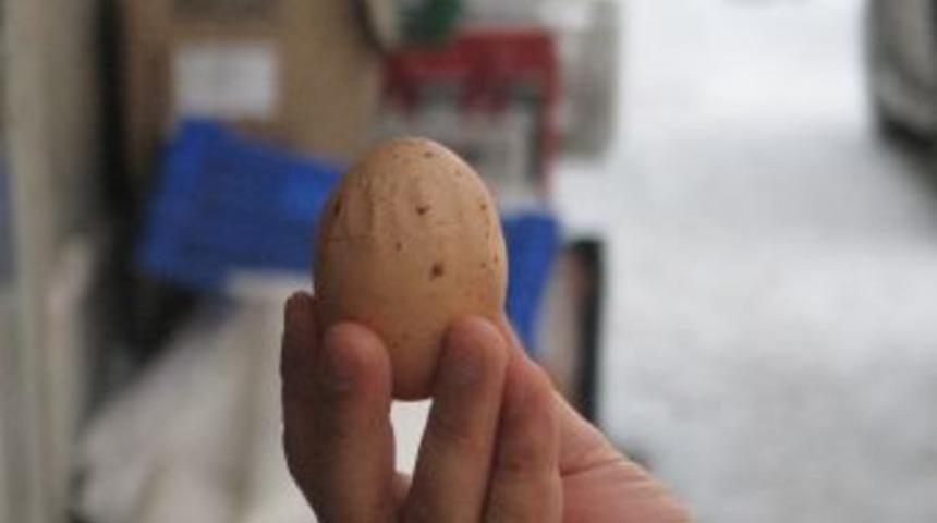 Bu Yumurtanın &Uuml;&ccedil; &Uuml;zerinde Allah Yazıyor