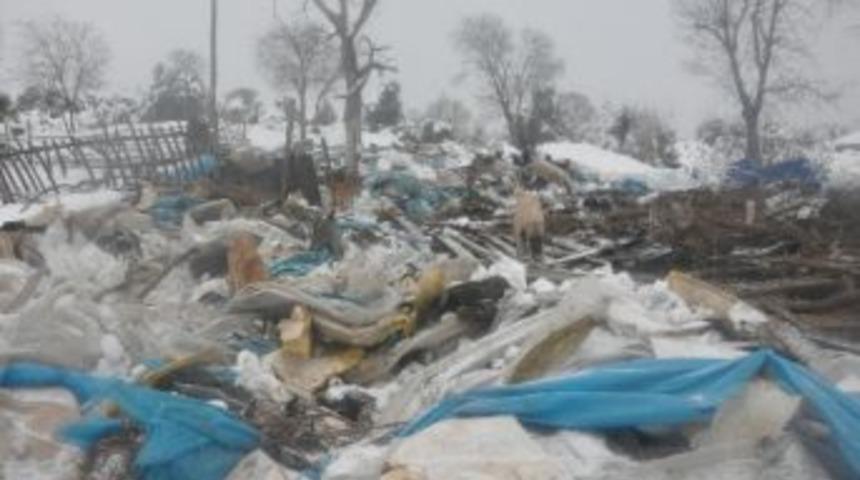 Kocaeli'de Ağıl &Ccedil;&ouml;kt&uuml; Y&uuml;zlerce Hayvan Telef Oldu