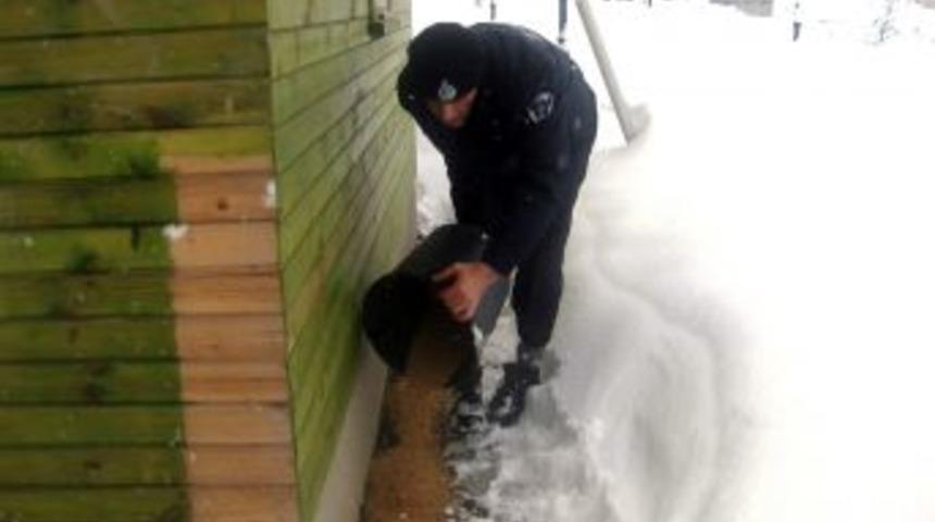 Hendek&rsquo;te Kuşlara Yem Bırakıldı