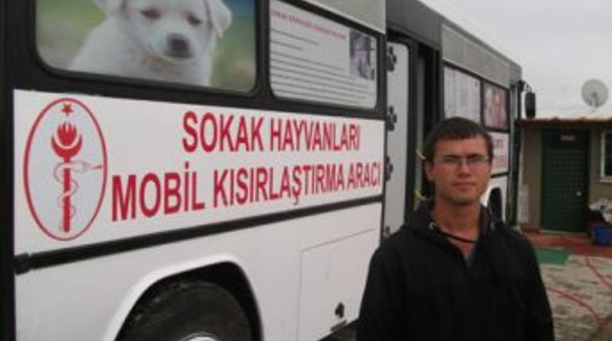Şark&ouml;y Belediyesi, Sokak K&ouml;peklerini Kısırlaştırdı