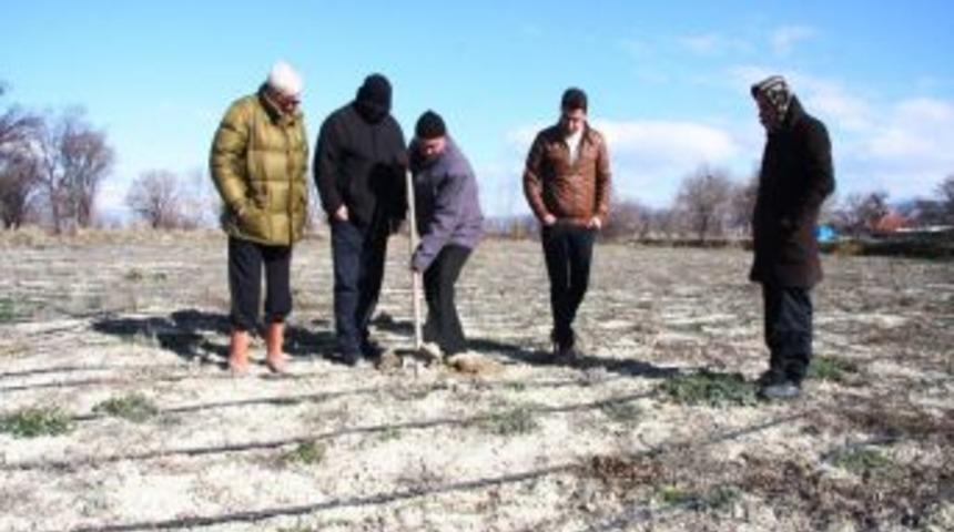 T&uuml;rkiye Bakıyor, Makedonya Kapıyor