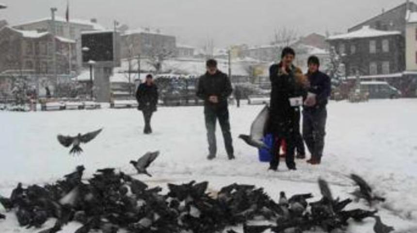 Cemal Akın, a&ccedil; kalma tehlikesi yaşayan hayvanları unutmadı