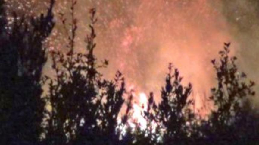 Kozan&rsquo;da Zeytinlik Ve Makilik Alanda Yangın