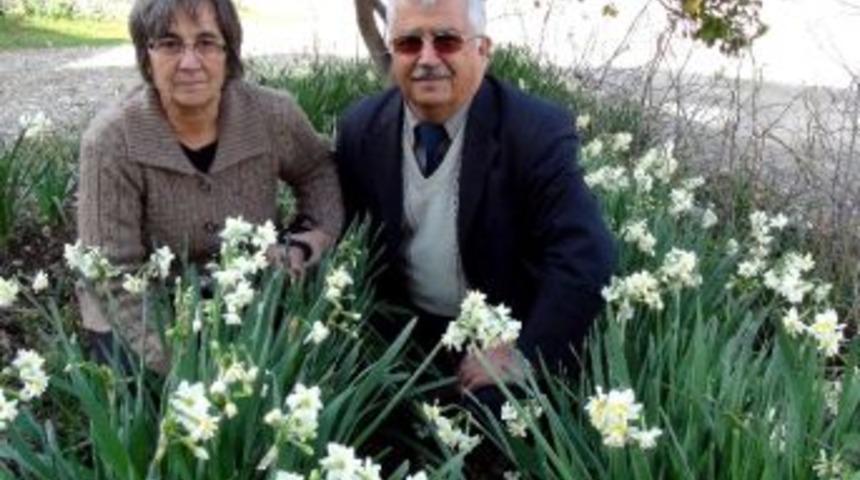 Nergis &Ccedil;i&ccedil;ekleri K&ouml;y Okuluna Kitap Olacak