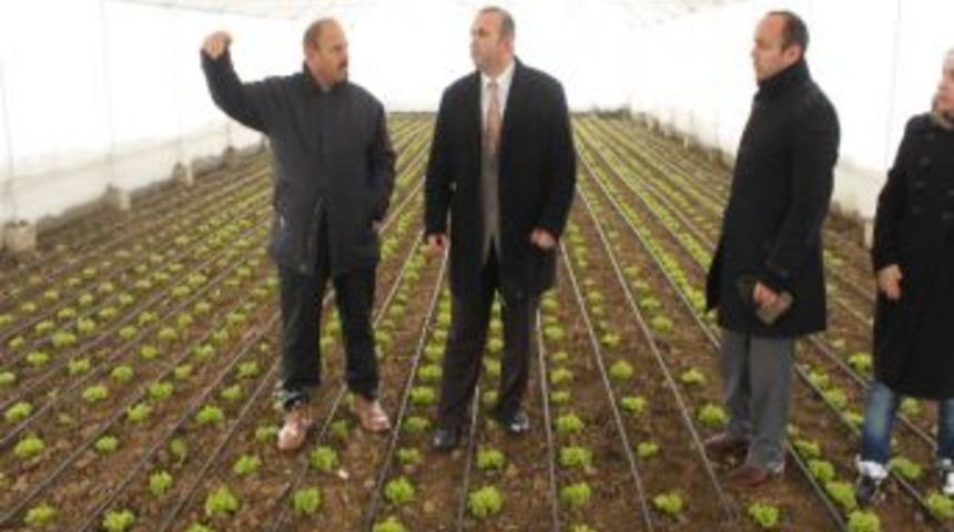 D&uuml;zce'deki Seralarda Kar Temizliği Uyarısı