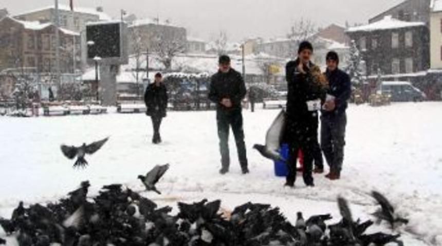 Sahipsiz Hayvanlar İ&ccedil;in Yiyecek Bırakıldı