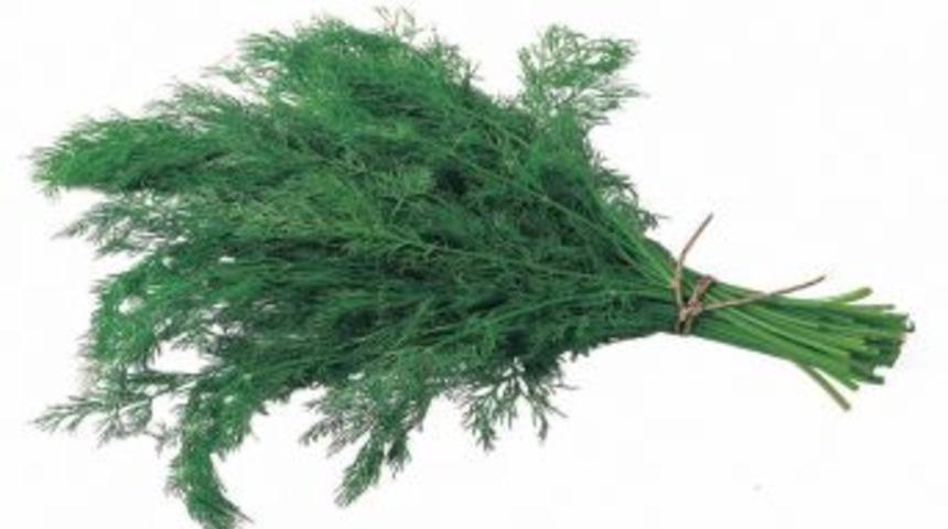 Tiroid Kanserine Bitkisel &Ccedil;&ouml;z&uuml;m