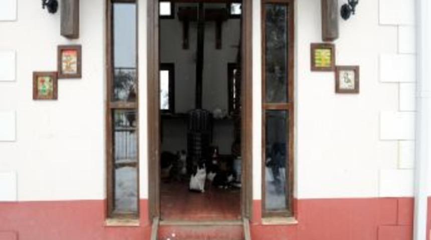 Kediler, Sıcak Villalarında Kar Manzarasını Tadını &Ccedil;ıkartıyor