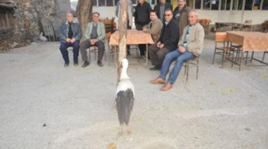 &Ouml;ks&uuml;z Leylek K&ouml;yl&uuml;lere Emanet