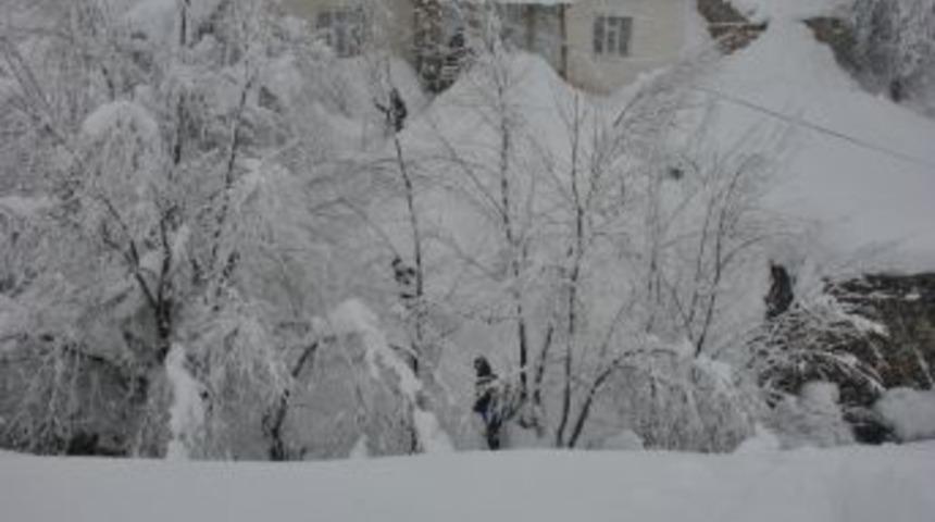 Şemdinli'de Kar Esareti