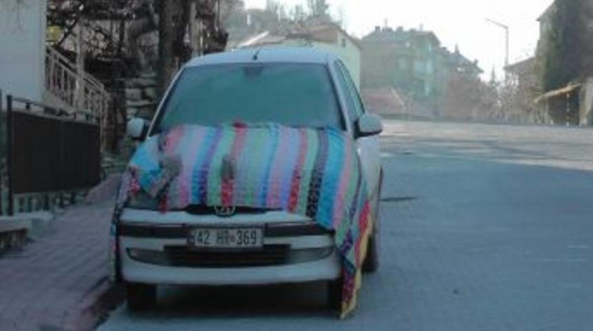 S&uuml;r&uuml;c&uuml;lerden Soğuklara Kilimli &Ouml;nlem