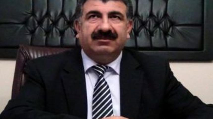 Hayvancılığın D&uuml;n&uuml; Ve Bug&uuml;n&uuml;