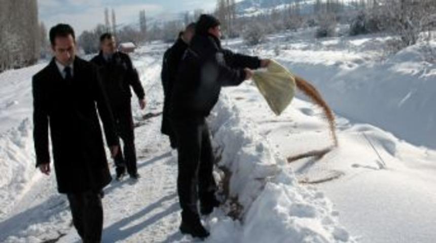 Akıncılar Kaymakamı Ve İl&ccedil;e Emniyet Amirliği, Doğaya Yem Bıraktı