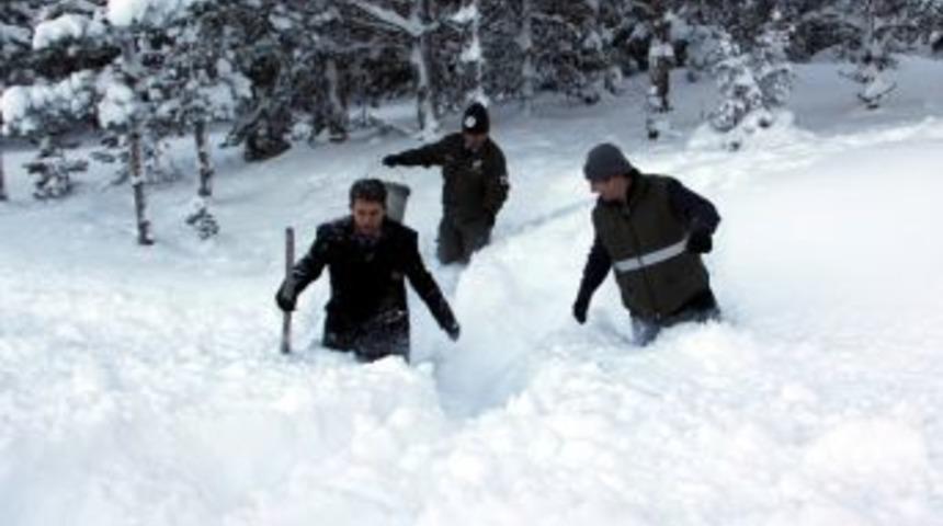 Karab&uuml;k'te Yaban Hayvanları İ&ccedil;in Doğaya Yem Bırakıldı